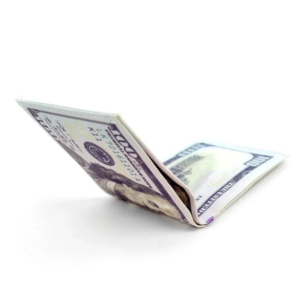 One Hundred Dollar Wallet/ $100 Bill Print/ Money Theme - Bi-Fold Style- NWT